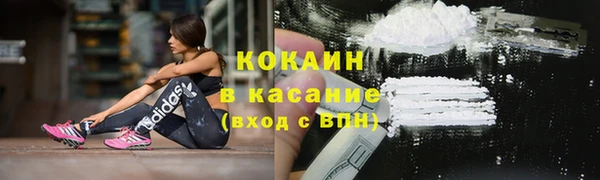 PSILOCYBIN Богданович