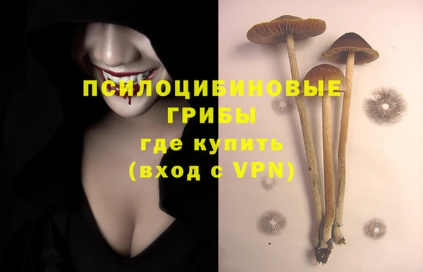mdpv Рославль