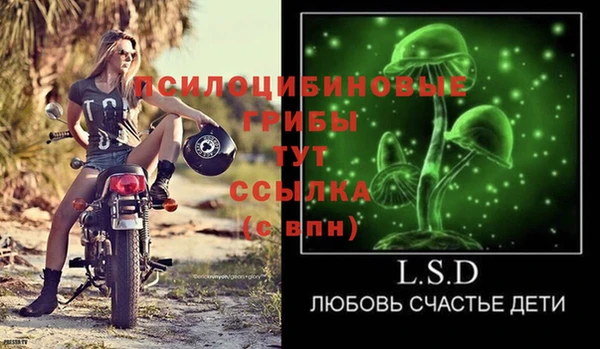 PSILOCYBIN Богданович