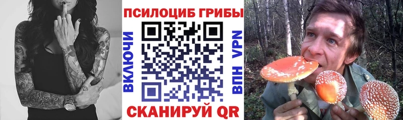 Галлюциногенные грибы Psilocybine cubensis  сколько стоит  Старица 